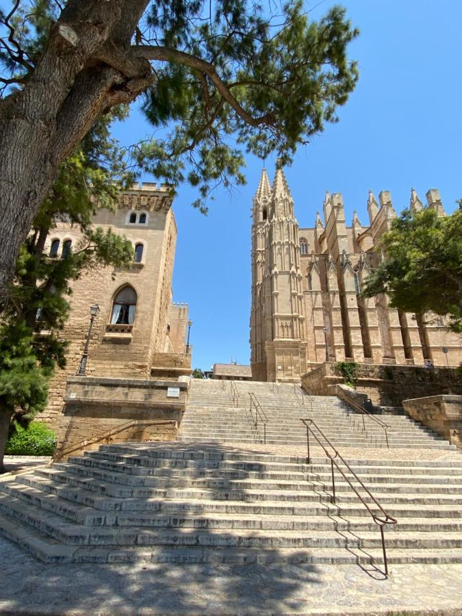 Vila Damunt Palma de Mallorca Eksteriør bilde