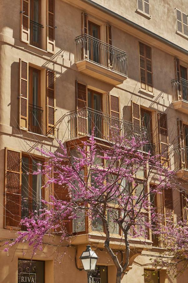 Vila Damunt Palma de Mallorca Eksteriør bilde